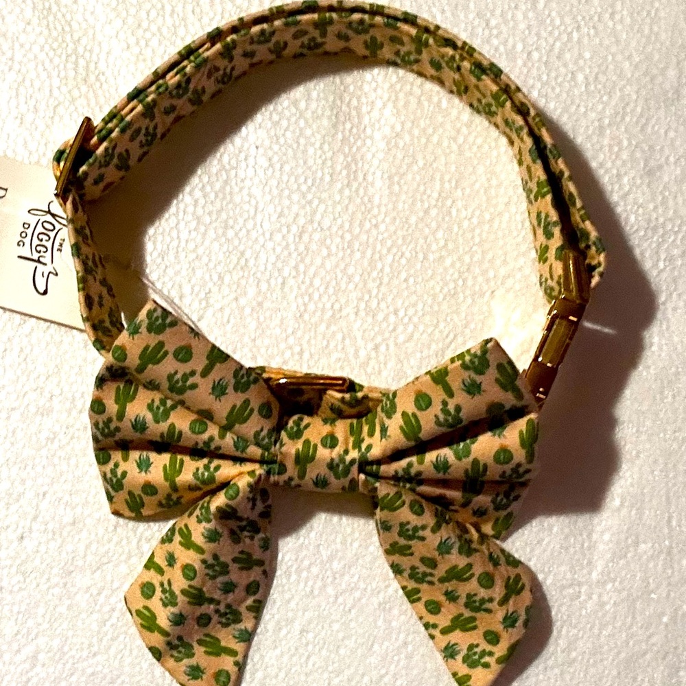The Foggy Dog Desert Cactus w/Lady Bow Dog Collar (L)